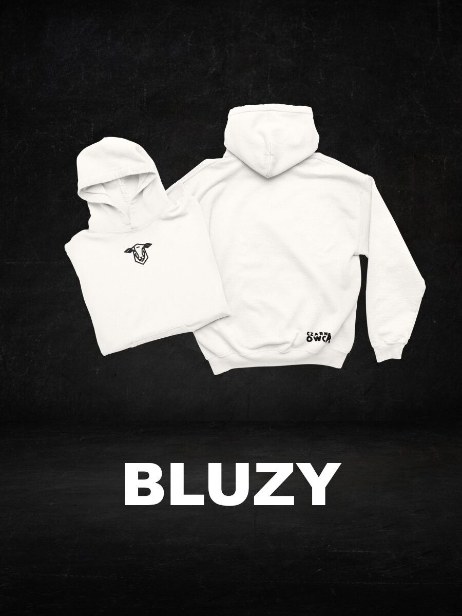 Bluzy